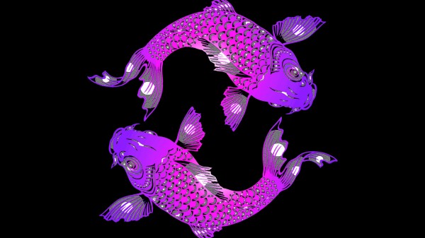 Fish Yin And Yang Art wallpaper