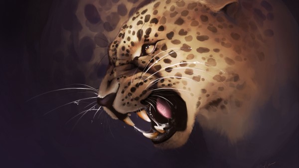 Leopard Grin Aggression wallpaper