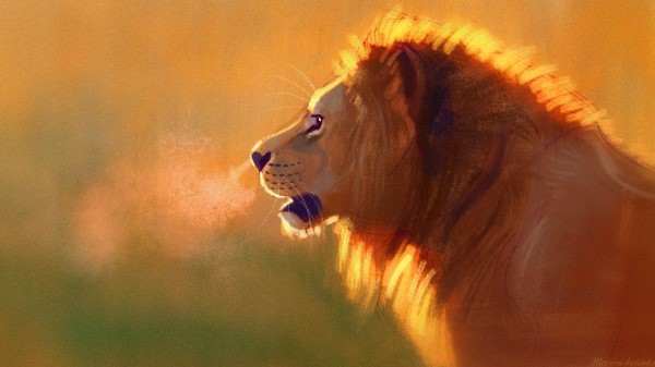 Lion Big Cat King Of Beasts wallpaper
