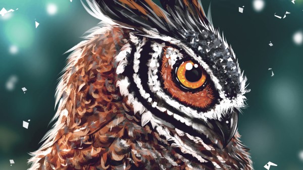 Owl Bird Art wallpaper