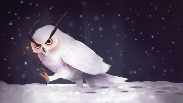 Owl Snow Art wallpaper