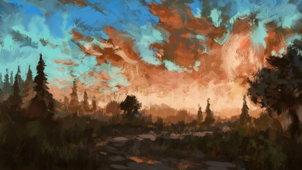 Spruce Trees Sky Wallpaper