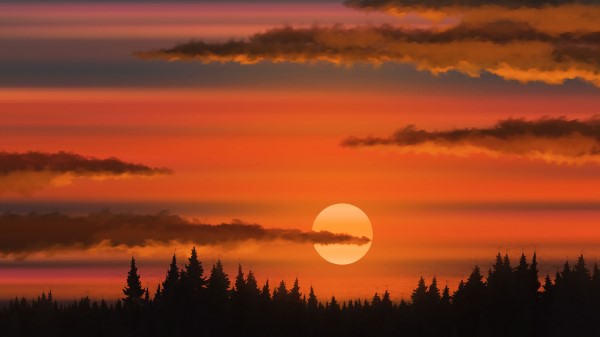 Sun Sunset Trees Wallpaper