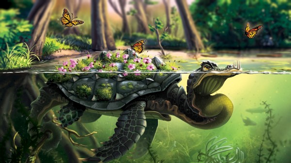 Turtle Butterflies Art wallpaper