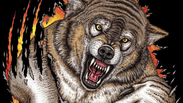 Wolf Grin Predator wallpaper