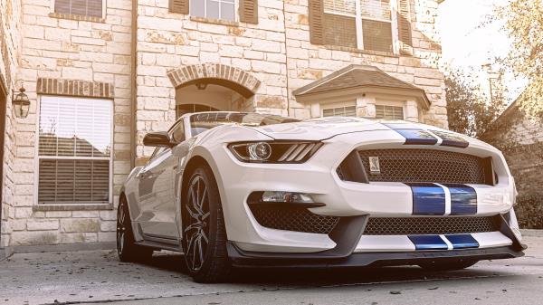 2018 Ford Mustang Shelby Gt350 Wallpaper