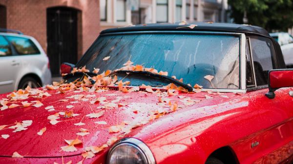 Auto Red Side View Autumn Foliage Wallpaper