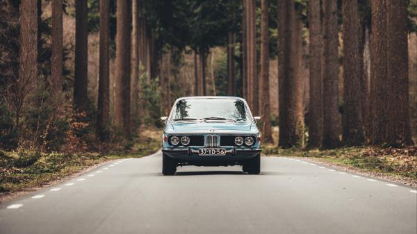 Auto Road Front View Trees Wallpaper