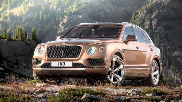 Bentley Bentayga Brown Side View Wallpaper