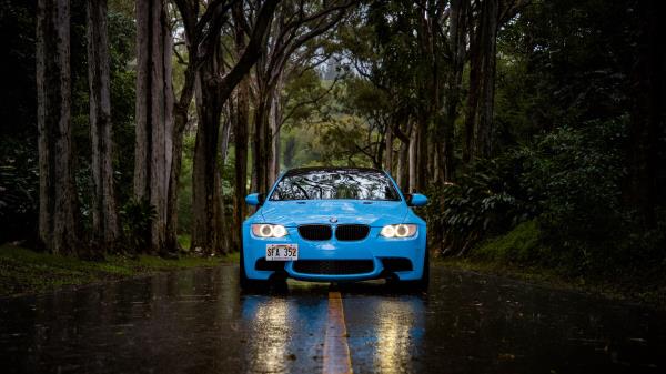Bmw 5 Bmw Front View Wallpaper