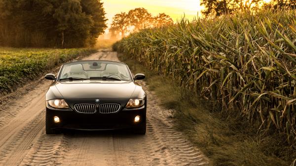 Bmw Car Front View Wallpaper