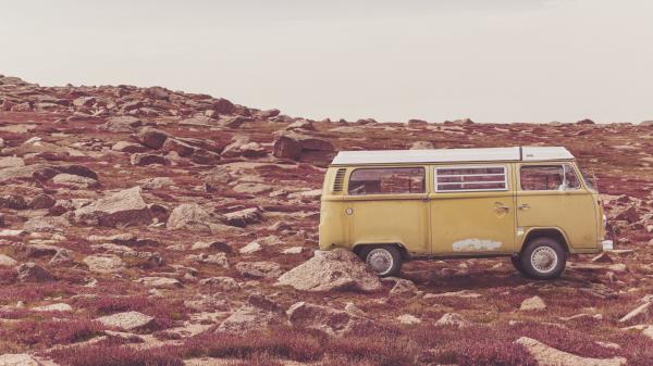 Bus Stones Grass wallpaper
