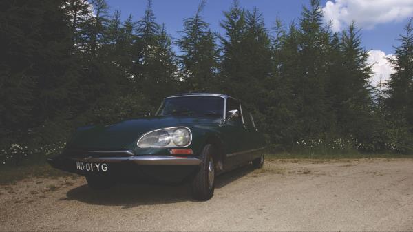 Car Retro Front View Green Wallpaper