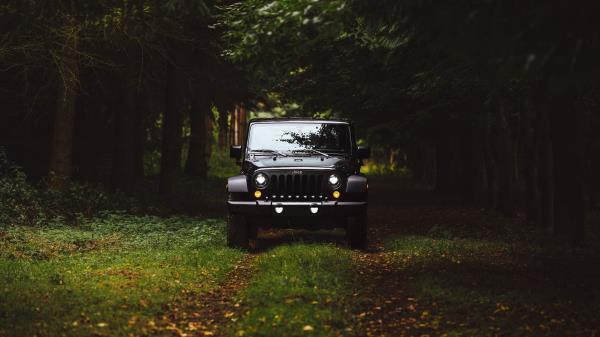 Car Suv Front View Grass wallpaper