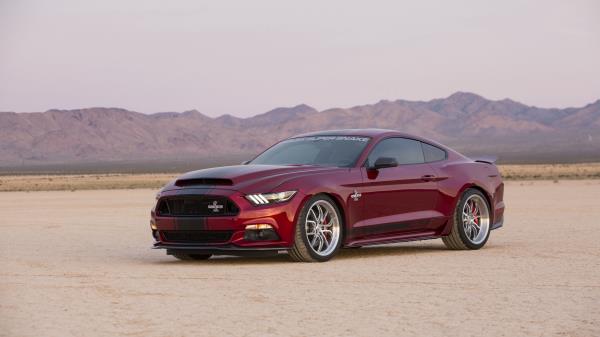 Ford Mustang Shelby Side View wallpaper