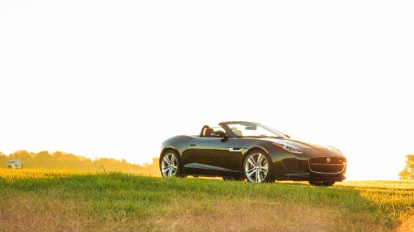 Jaguar F Type V8 S Convertible Side View wallpaper