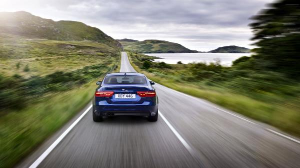 Jaguar Xe Jaguar Movement wallpaper