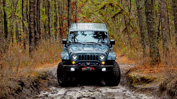 Jeep Wrangler Jeep Car Image wallpaper