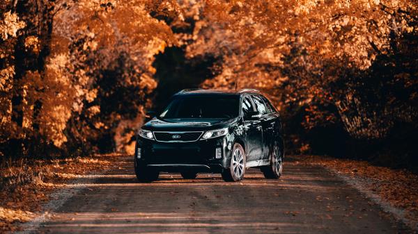 Kia Car Front View Image wallpaper