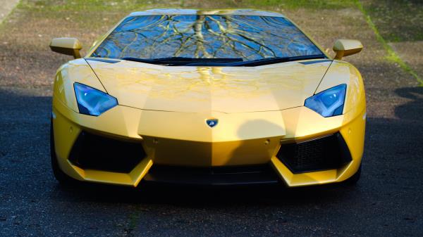 Lamborghini Aventador Lp700 4 Yellow Car Front View wallpaper