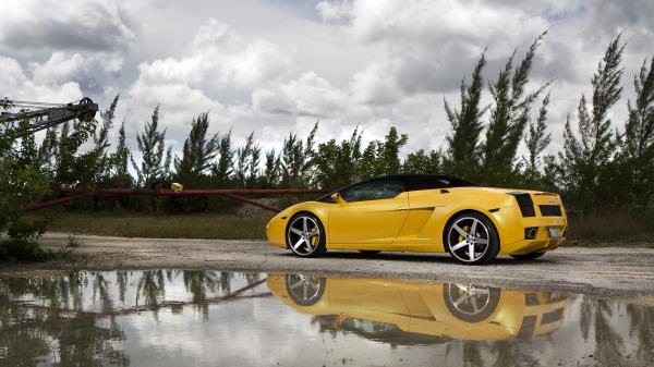 Lamborghini Gallardo Lp560 4 Spyder Yellow wallpaper