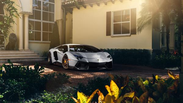 Matte Lamborghini Aventador wallpaper