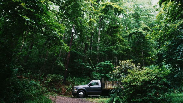 Suv Forest Trees Wallpaper