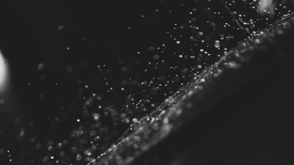 Drops Water Surface wallpaper