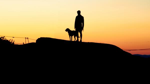 Silhouette Dark Twilight wallpaper