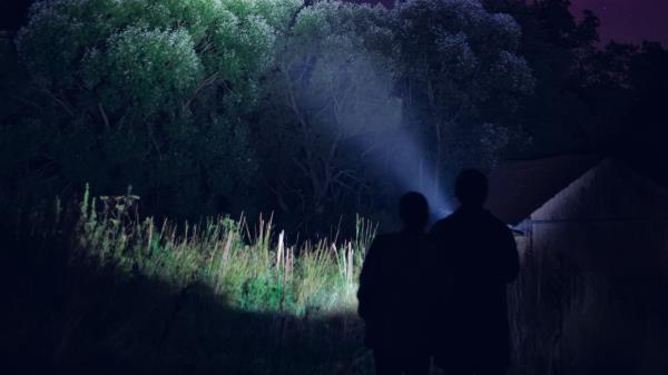 Silhouettes Night Dark wallpaper