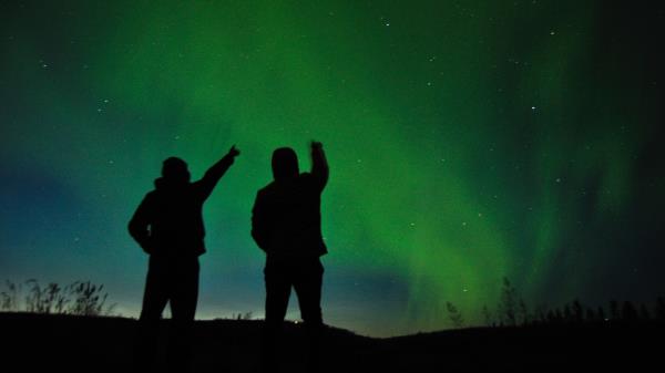 Silhouettes Starry Sky Night wallpaper
