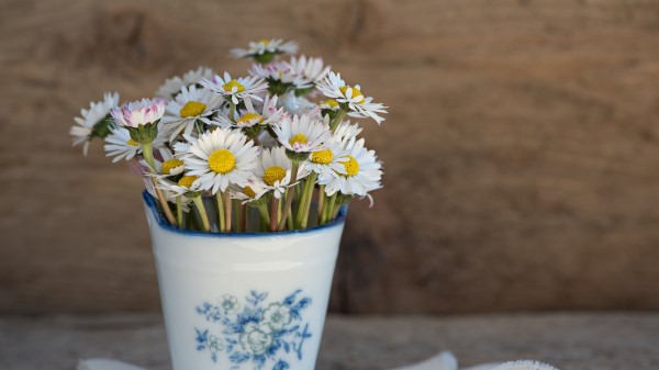 Daisies Vase Napkin Wallpaper