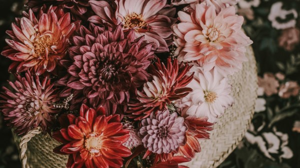 Flowers Basket Bouquet Image wallpaper