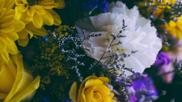 Flowers Bouquet Composition Colorful wallpaper