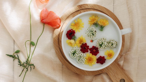 Flowers Dandelion Plate wallpaper