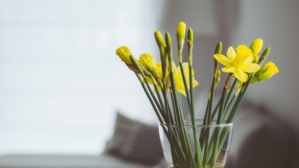 Flowers Vase Bouquet wallpaper