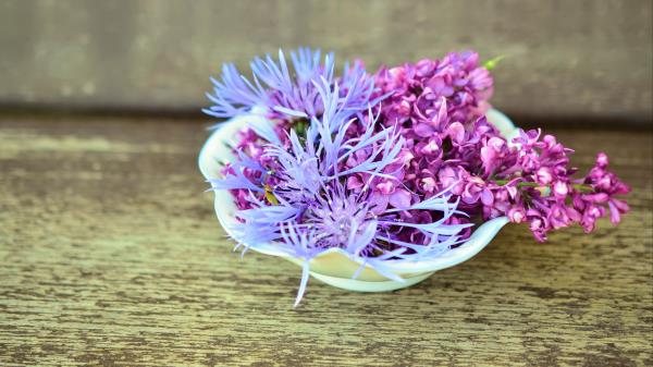 Lilac Cornflower Flowers Decoration Wallpaper