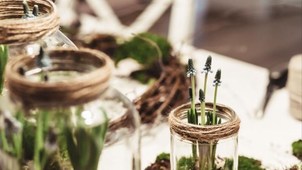 Plant Vase Flowers Decoration Wallpaper