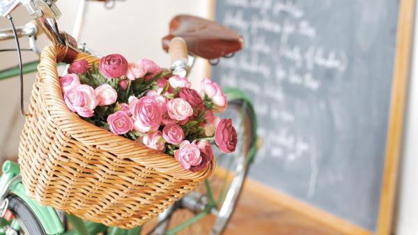 Ranunkulyus Basket Flowers Bike Boar Wallpaper
