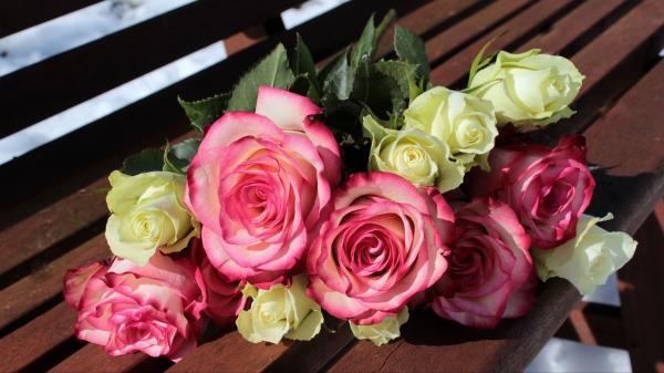 Roses Bouquet Bench Buds Wallpaper