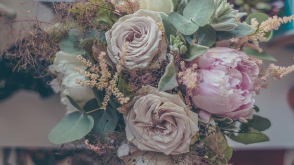 Roses Bouquet Composition Decoration Wallpaper