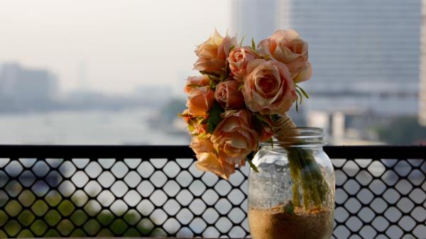 Roses Bouquet Flowers Bank Wallpaper