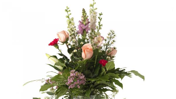 Roses Carnations Lilies Chrysanthemums Wallpaper