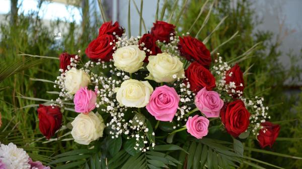 Roses Flowers Bouquet Decoration Gypsophila Beaut Wallpaper
