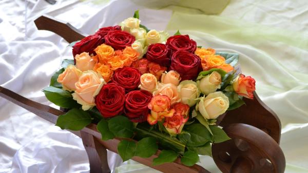 Roses Flowers Buds Different Cart Note Be Wallpaper
