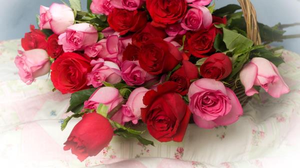 Roses Flowers Lot Baske Wallpaper