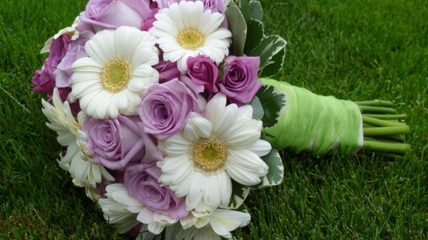 Roses Gerbera Flower Bouquet Grass Leave Wallpaper