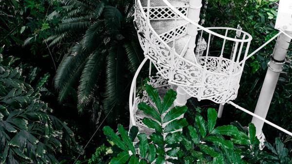 Staircase Circular Botanical Garden Wallpaper