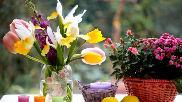Tulips Roses Irises Flowers Bouquets Vase Basket Wallpaper
