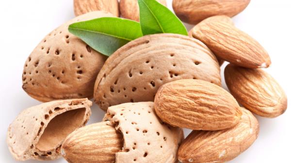 Almond Shells Leaves White Background Wallpaper
